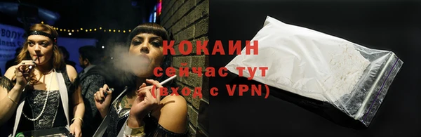 прущие грибы Саяногорск