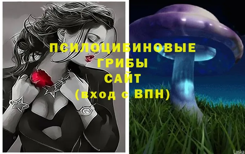 Галлюциногенные грибы Cubensis  Фролово 