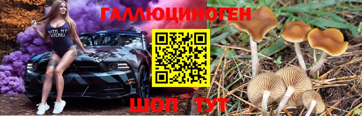 Фролово  Псилоцибиновые грибы GOLDEN TEACHER  Вход с VPN 